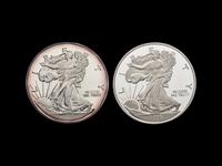 [PRIVATE ISSUE] Two 1/2-Pound Silver Rounds