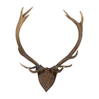 A Continental Carved Oak and Antler Wall Mount