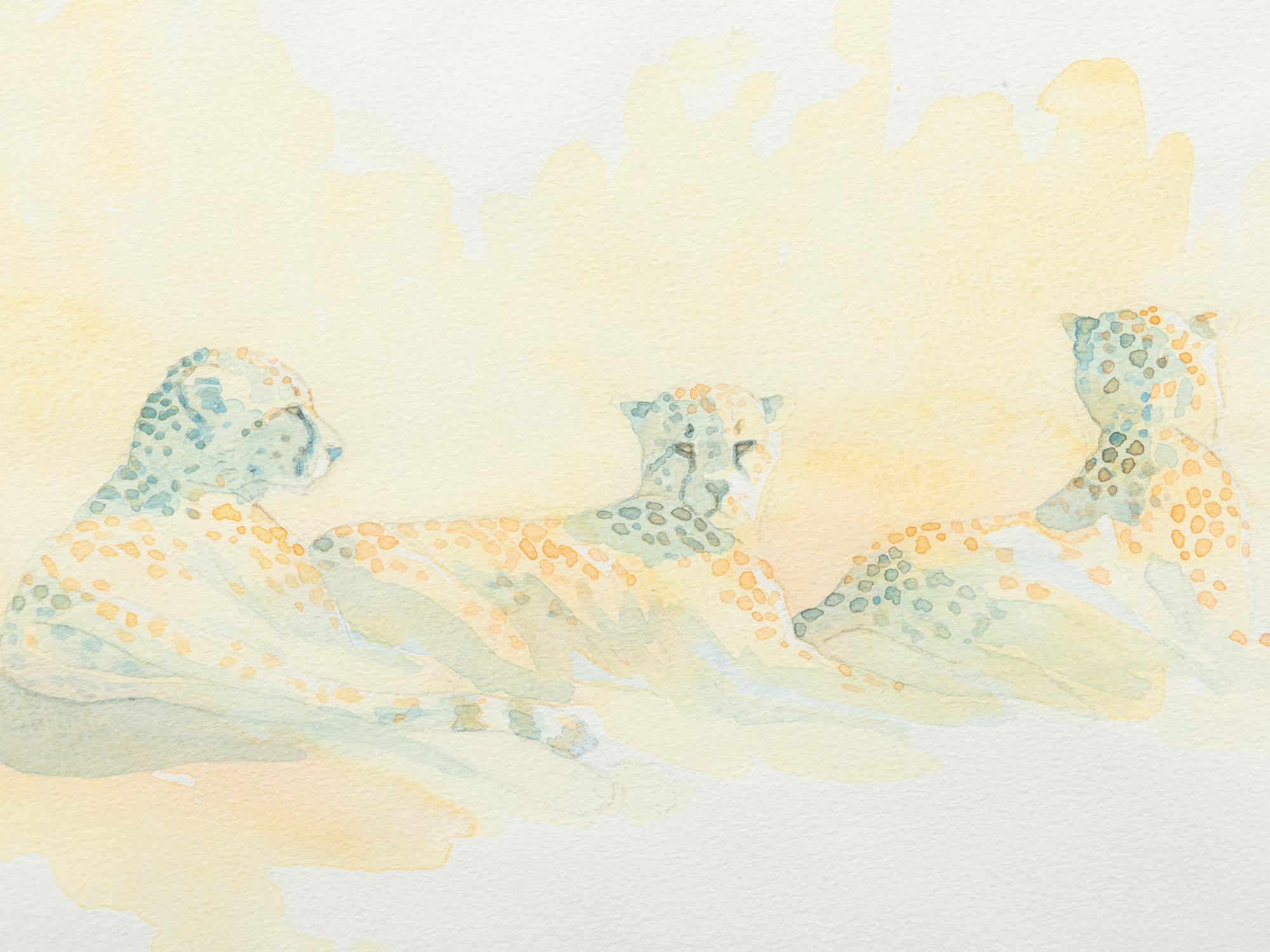 Cheetah Trio Field Sketch , 2012