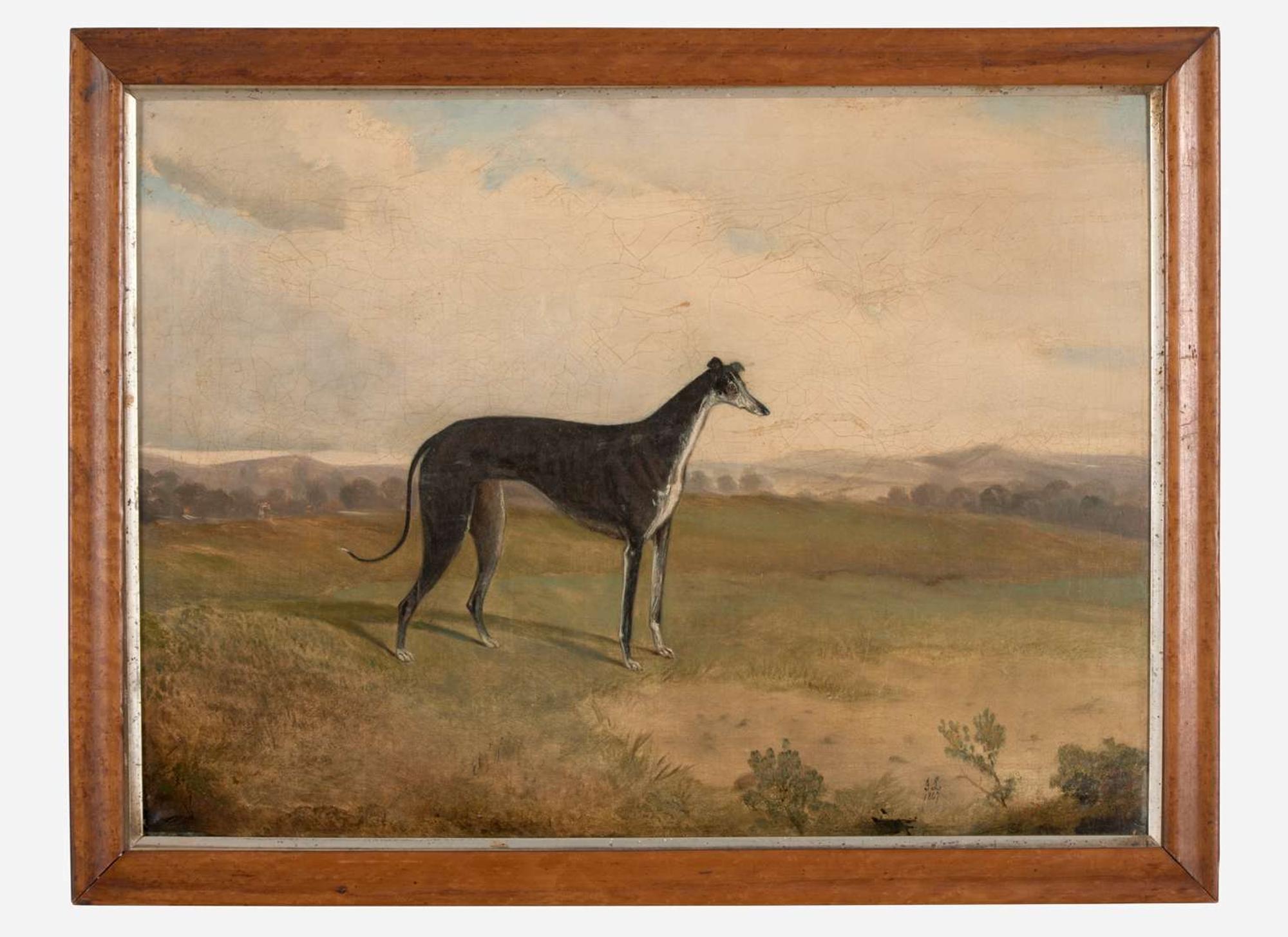 British School (19th Century)- Greyhound in a Landscape