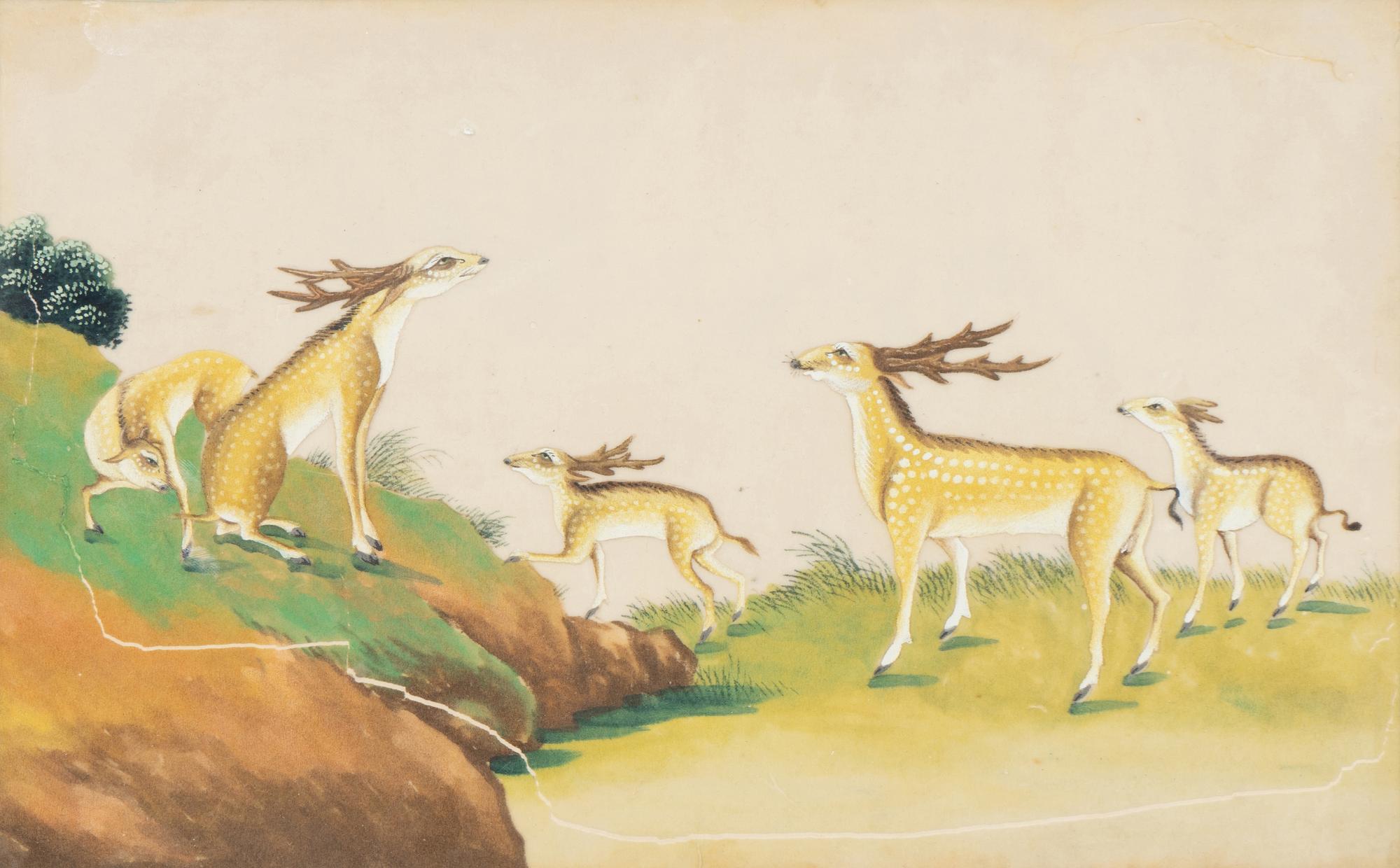 A Collection of Twelve Chinese Zoological Ink and Color Pith Paintings
