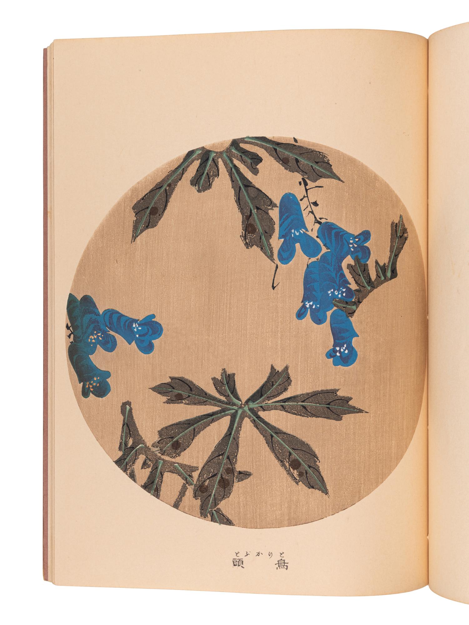 [ITŌ Jakuchū] (1716-1800), artist. [KONDŌ Tokutarō], editor. [Jakuchū Gafu, J akuchū Picture Book/Album ]. Kyoto: [Unsōdō], Meiji 41 [1908].