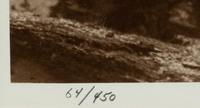 A Group of Six modern Photographs