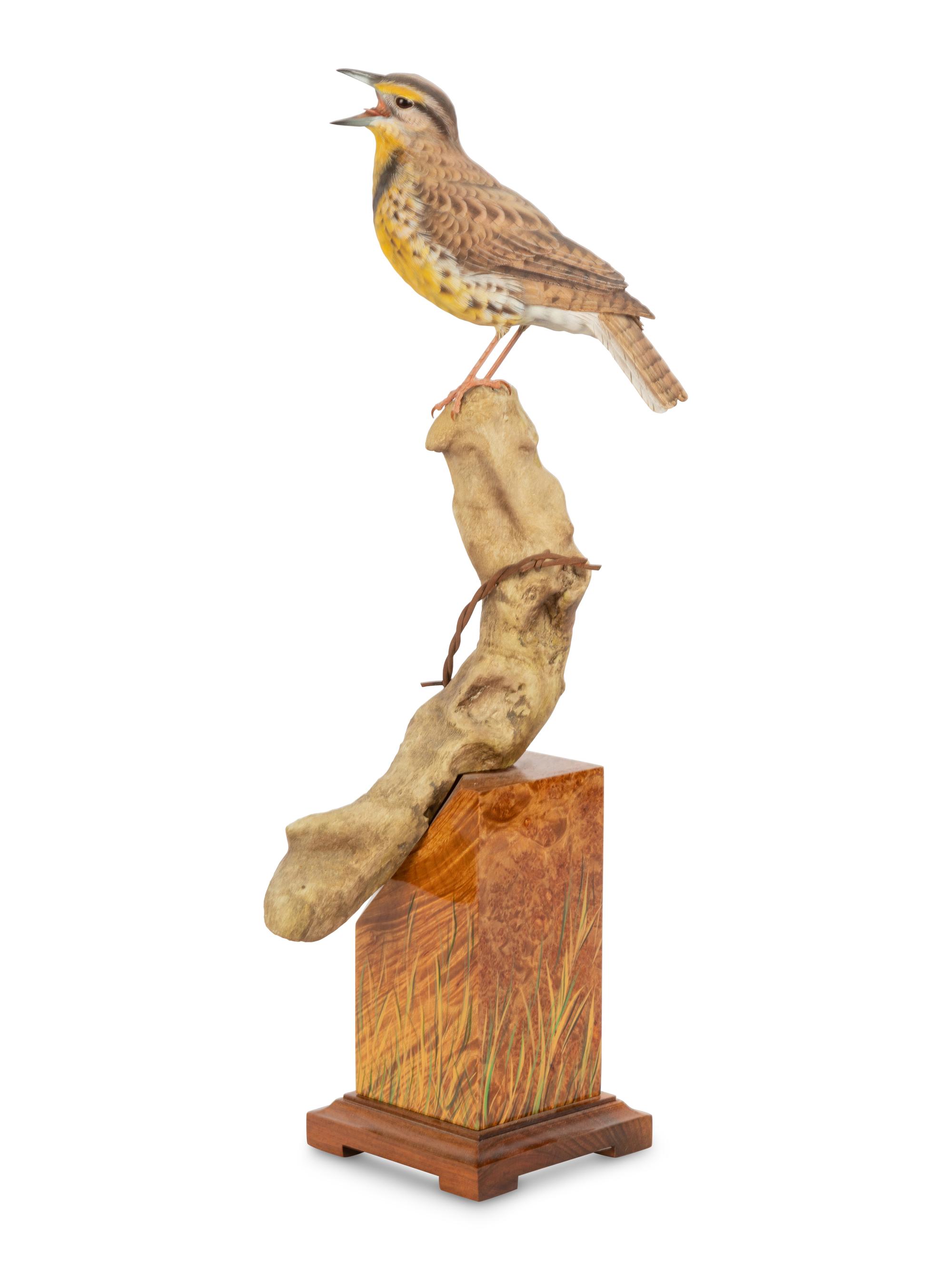 Western Meadowlark , 2004
