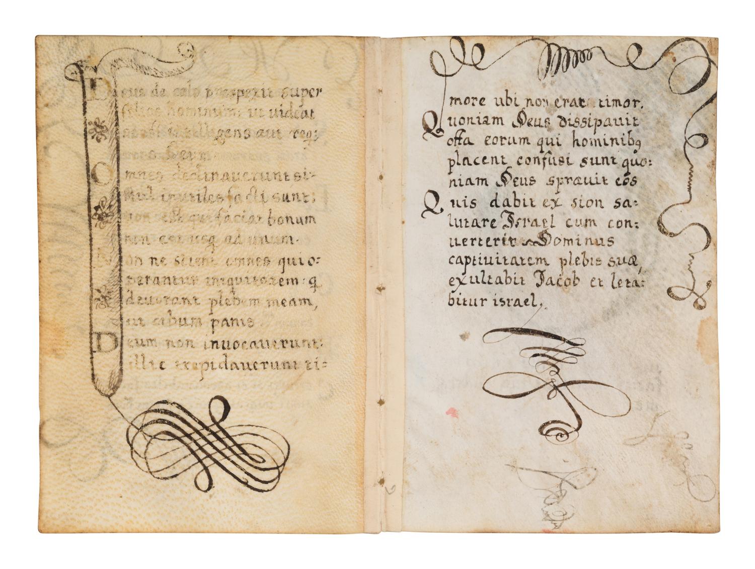 A collection of leaves from Psalter manuscripts, illuminated in Flanders in the first half of the thirteenth century, joined with a group of seventeenth- or eighteenth-century Psalter leaves drawn according to similar models