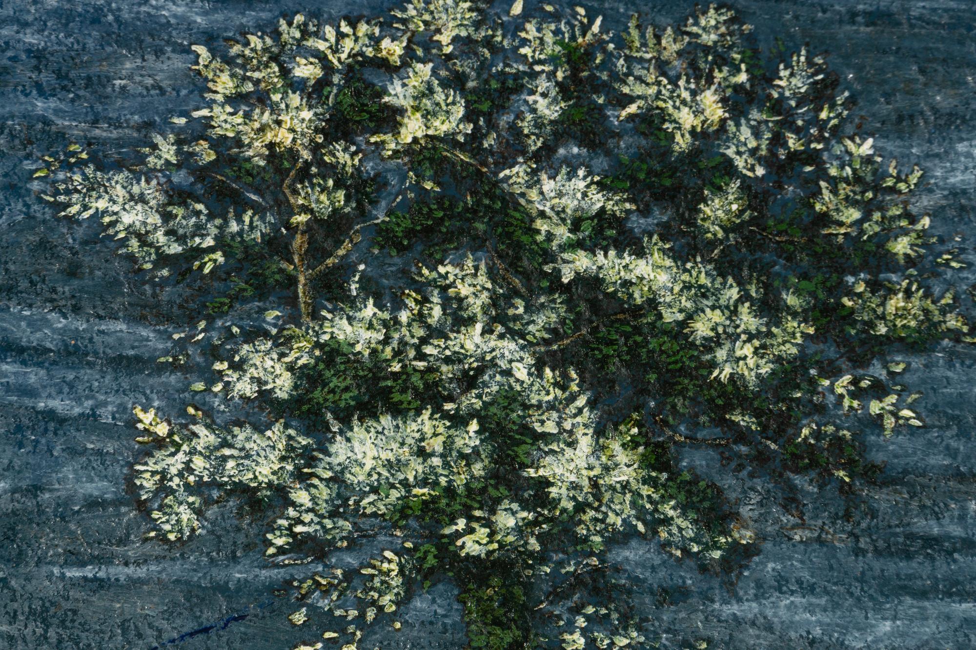 Oak Tree at Snape , 2000