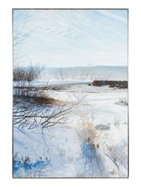 Double Image-Dunes in Winter , 1972