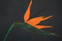 Bird of Paradise, edition 120/120
