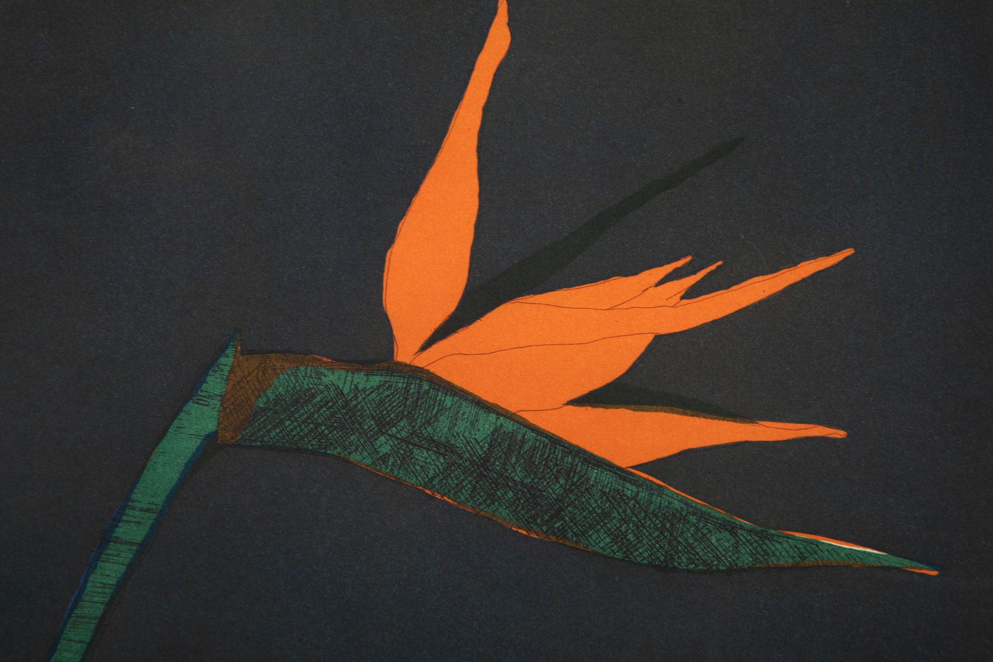 Bird of Paradise, edition 120/120