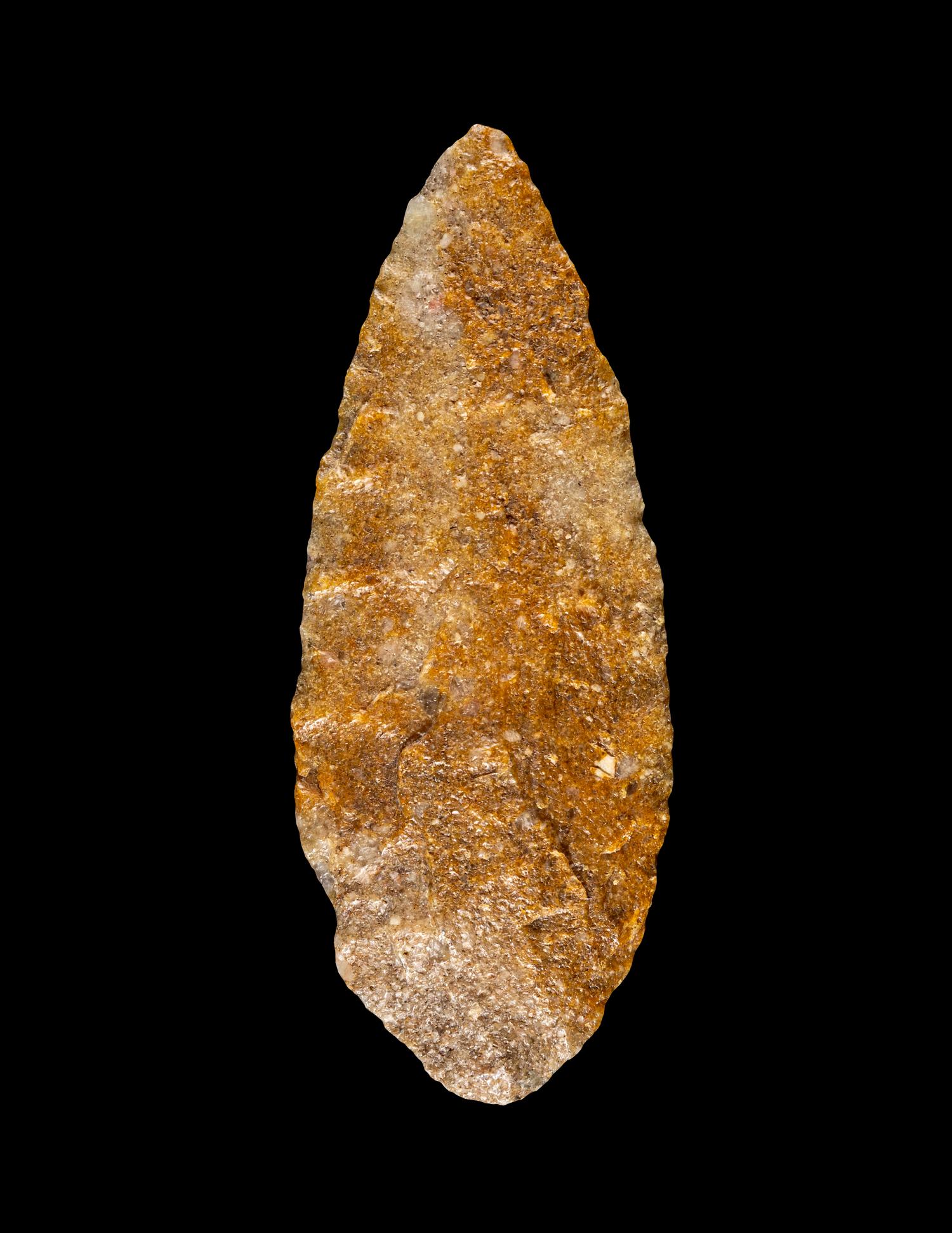 A Paleolithic Chert Spear Point