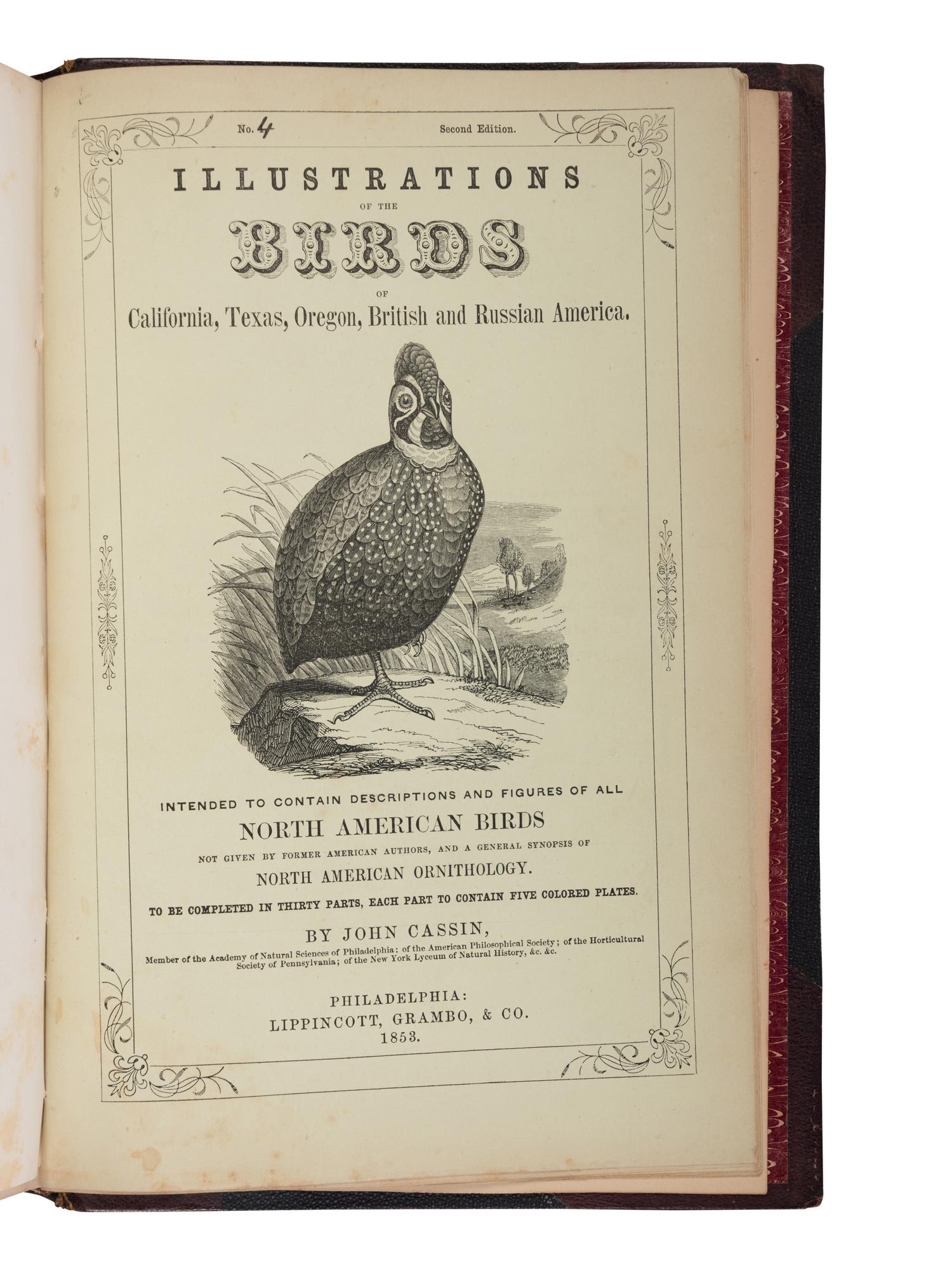 CASSIN, John (1813-1869). Illustrations of the Birds of California, Texas, Oregon, British and Russian American . Philadelphia: J.B. Lippincott & Co., [1853]-1856.