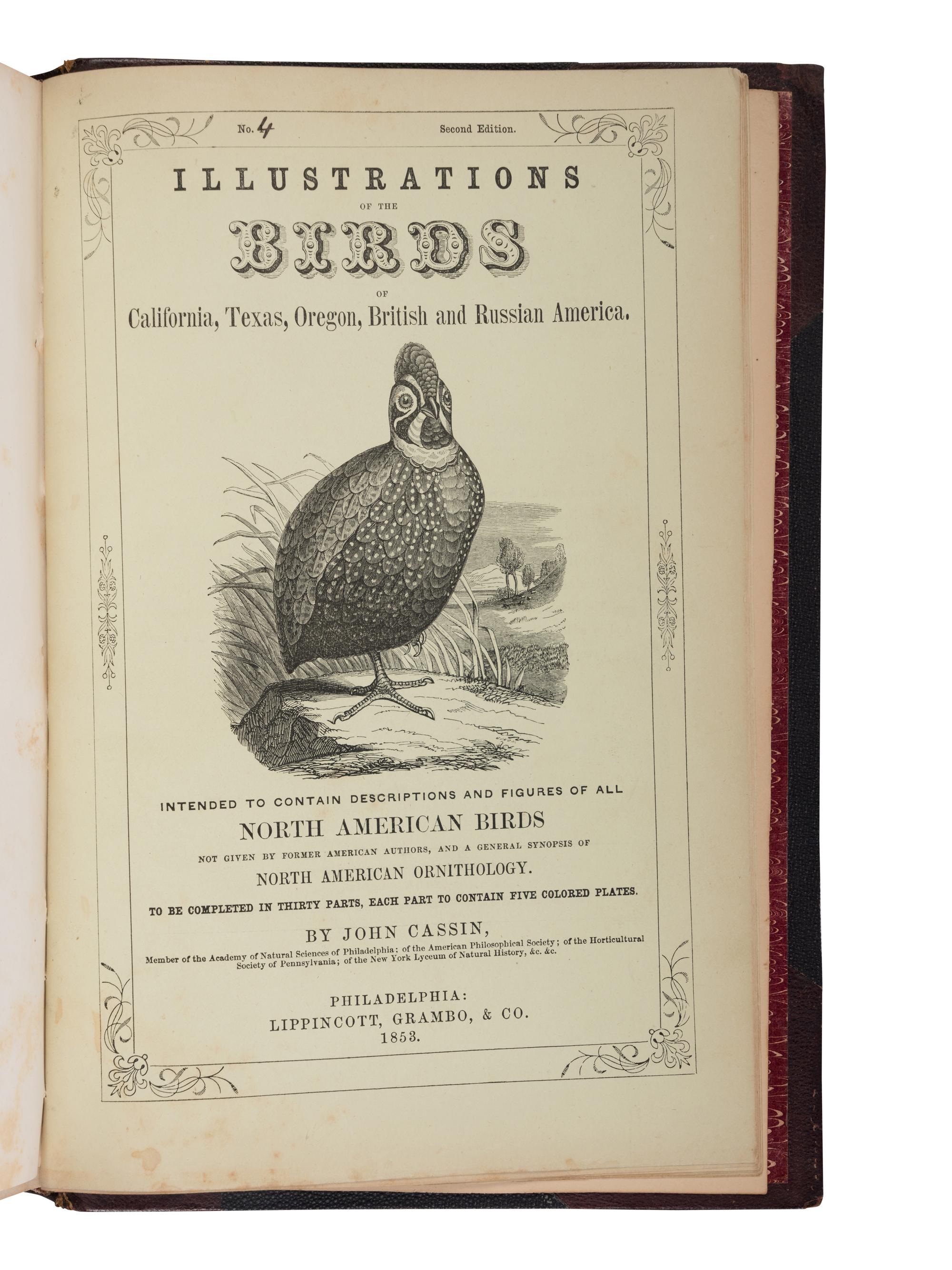 CASSIN, John (1813-1869). Illustrations of the Birds of California, Texas, Oregon, British and Russian American . Philadelphia: J.B. Lippincott & Co., [1853]-1856.
