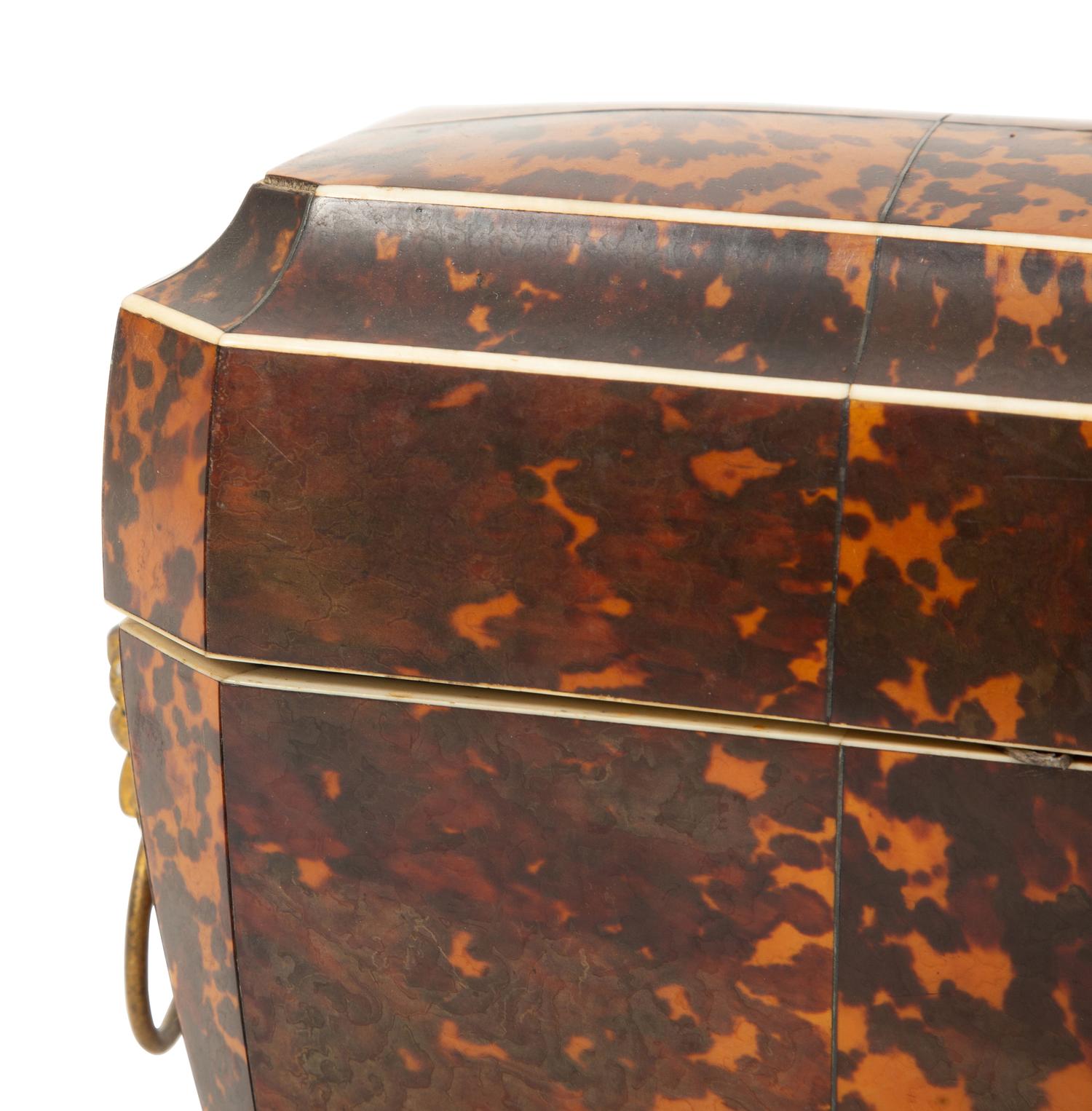 A Regency Tortoise Shell Veneered Tea Caddy