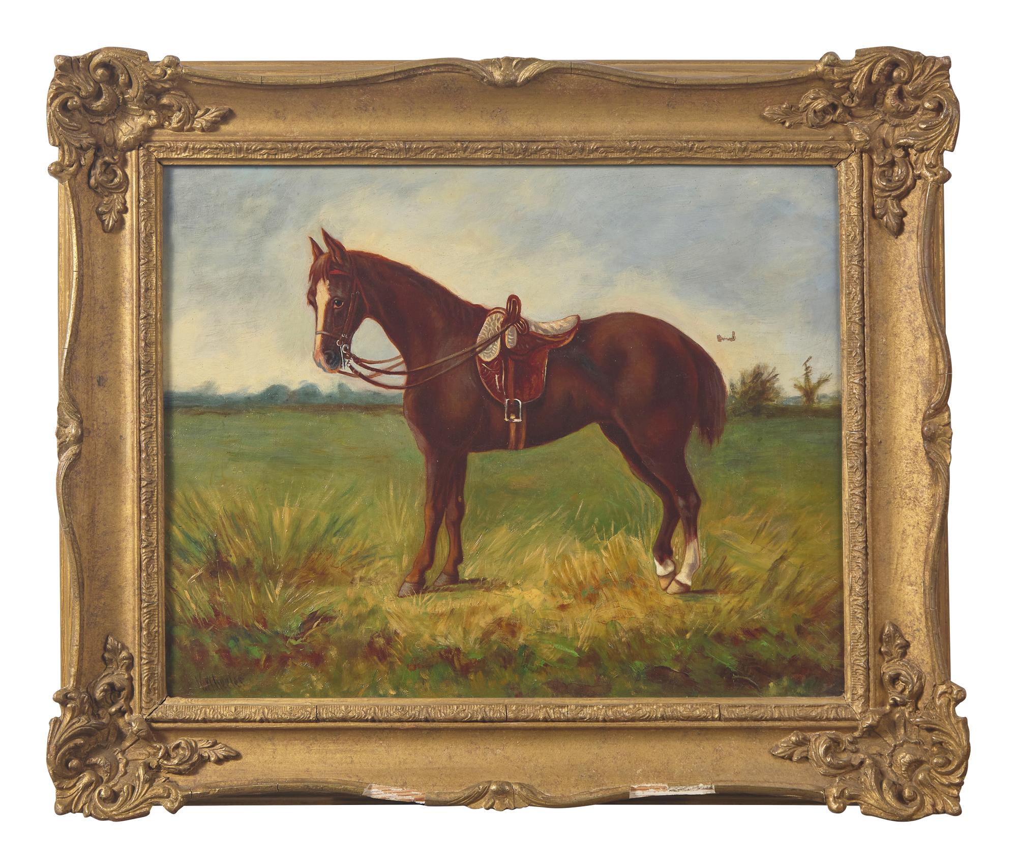 Horse