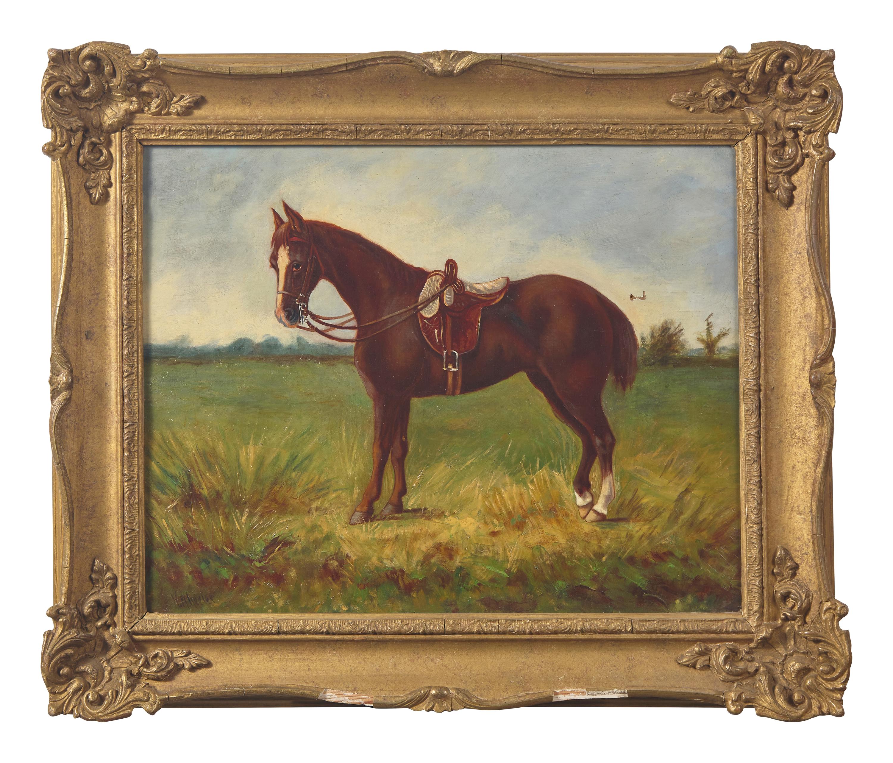 Horse