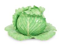 A Dodie Thayer Lettuce Ware Tureen and Underplate