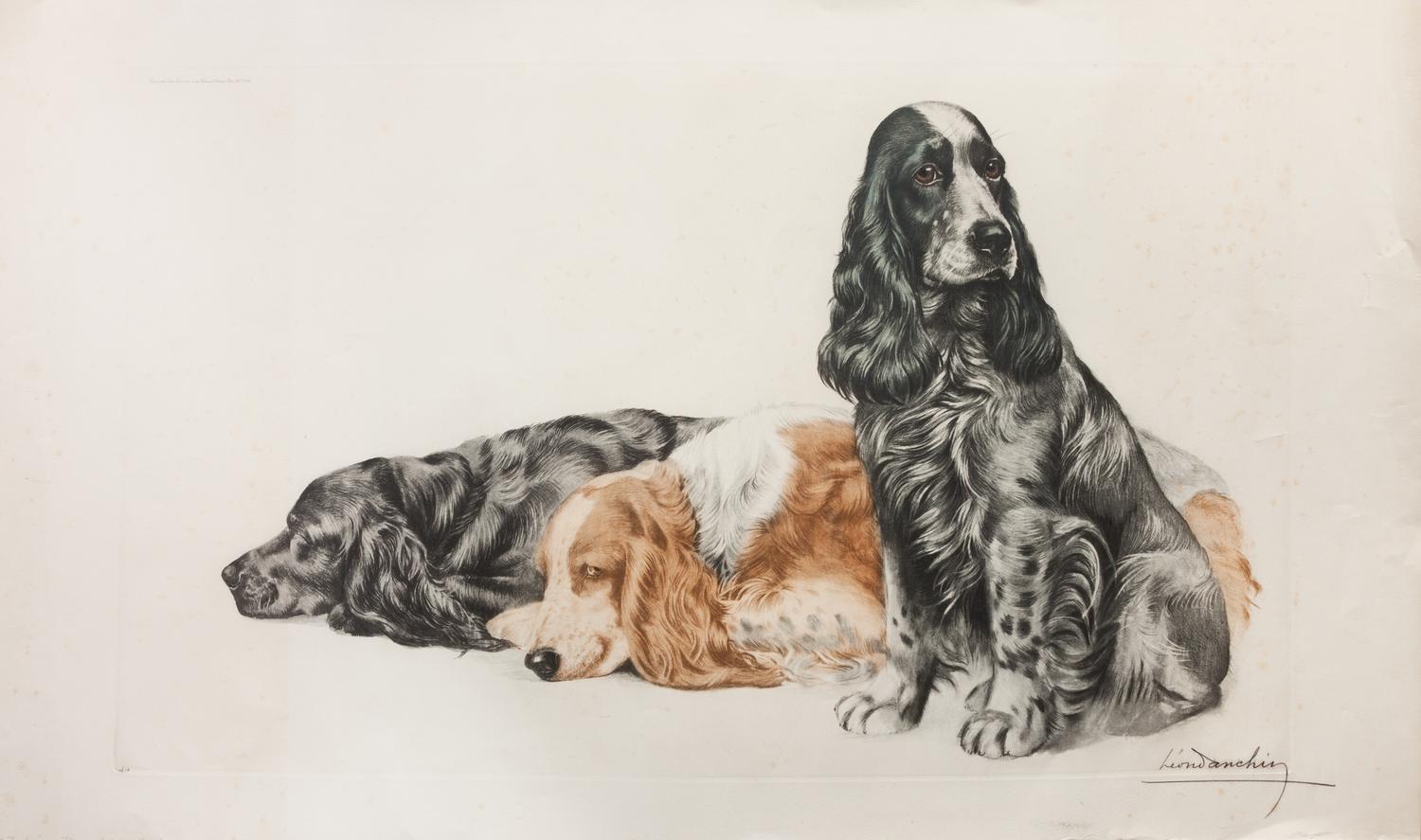Eight Prints depicting English Cocker Spaniels Largest: 23 1/4 x 41 inches.