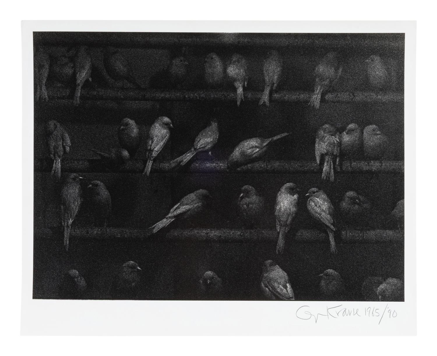 Birds, Mexico, 1965; printed 1990