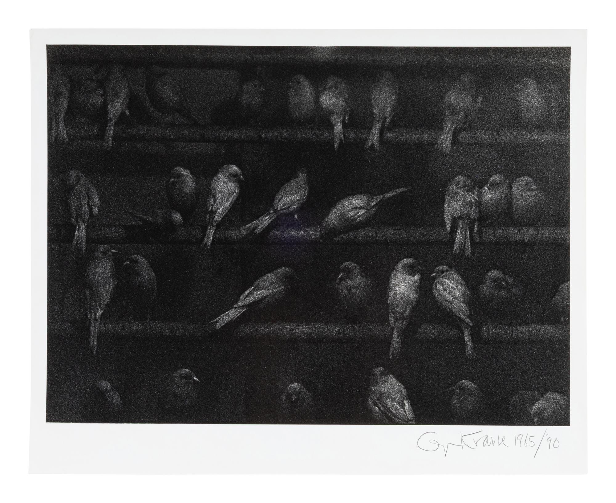 Birds, Mexico, 1965; printed 1990
