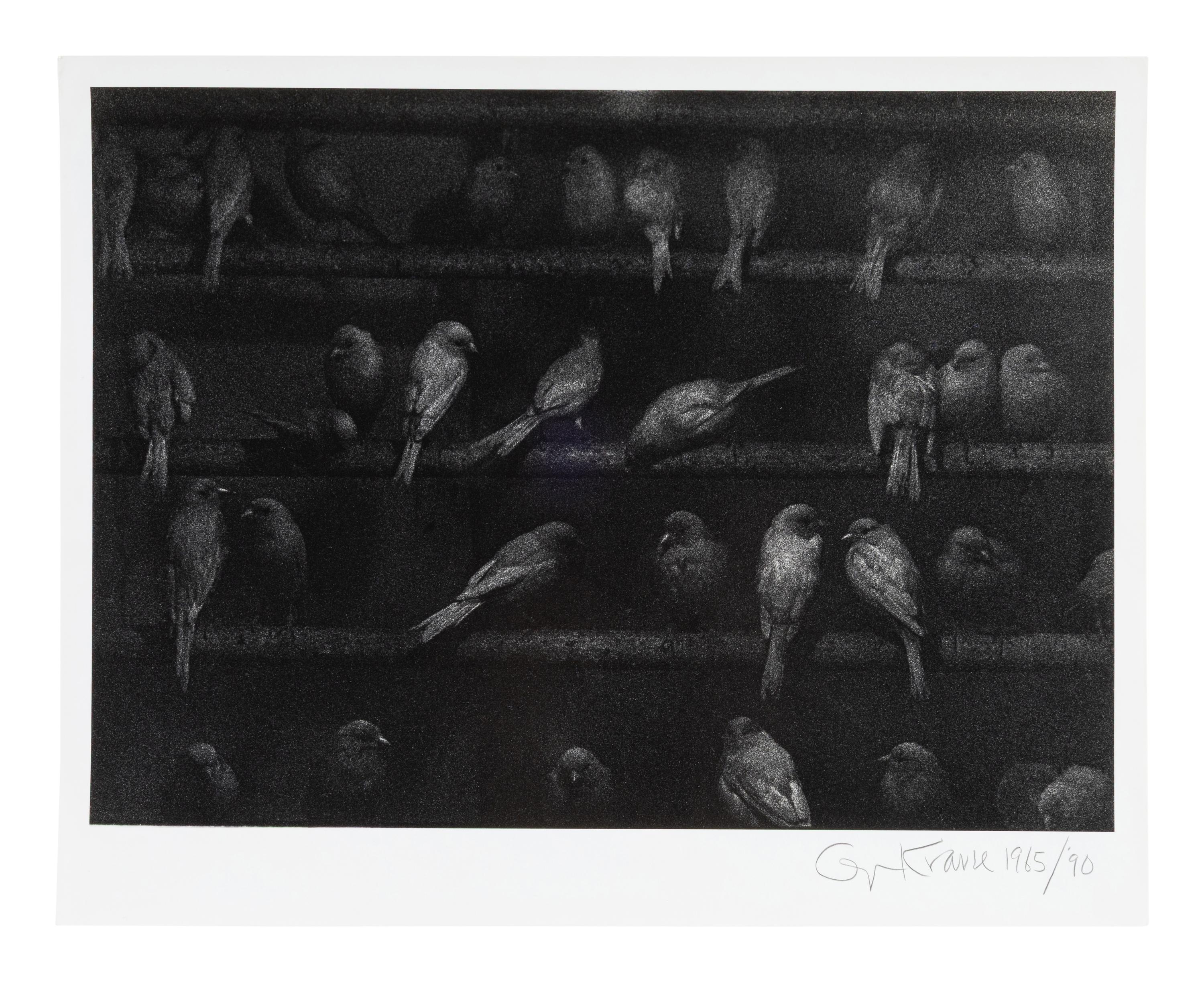 Birds, Mexico, 1965; printed 1990