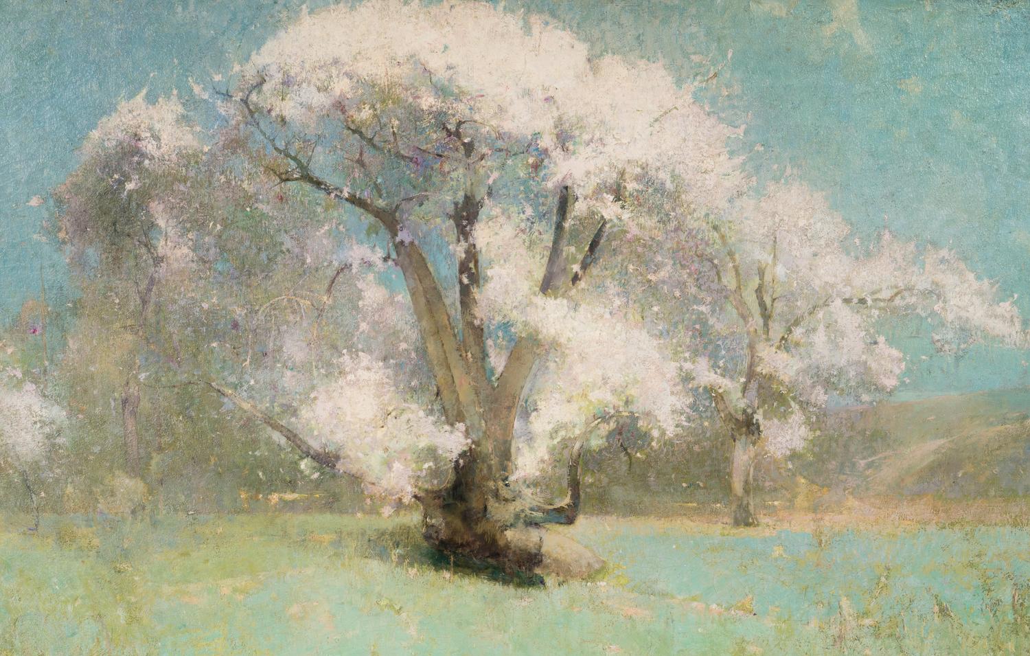 Blossoming Trees , 1904