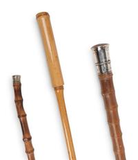 A Group of Eight Canes and Walking Sticks