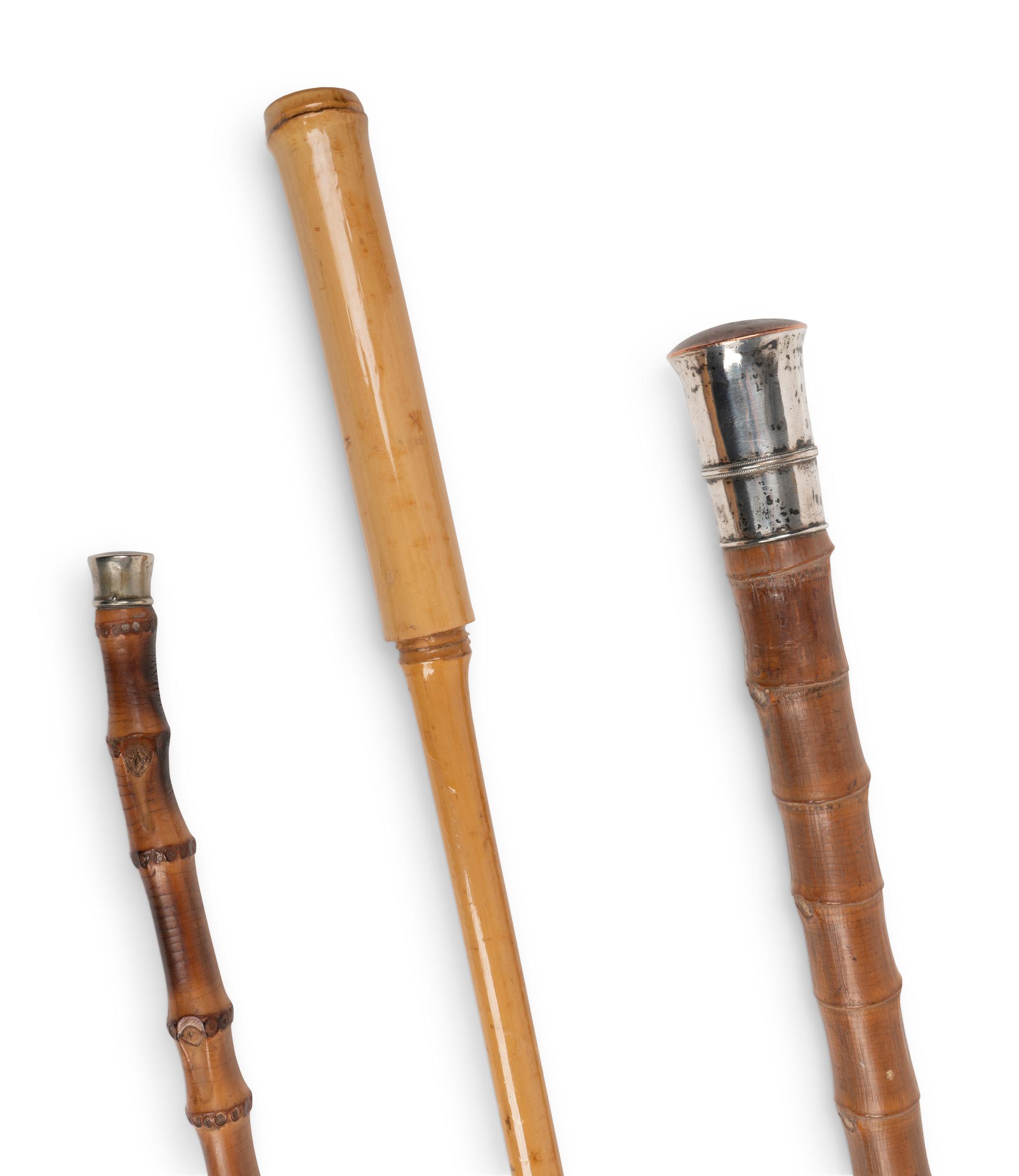 A Group of Eight Canes and Walking Sticks