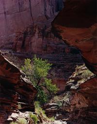 Glen Canyon (8 of 10 photographs)