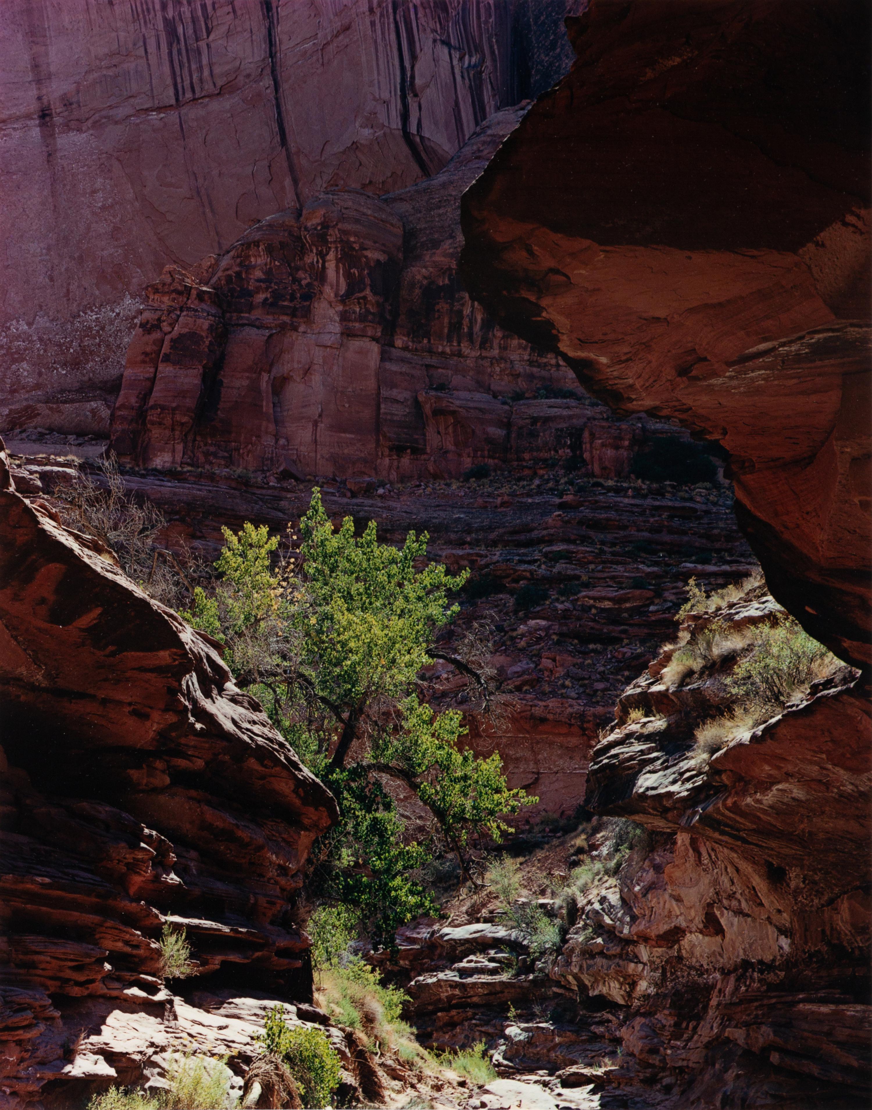 Glen Canyon (8 of 10 photographs)