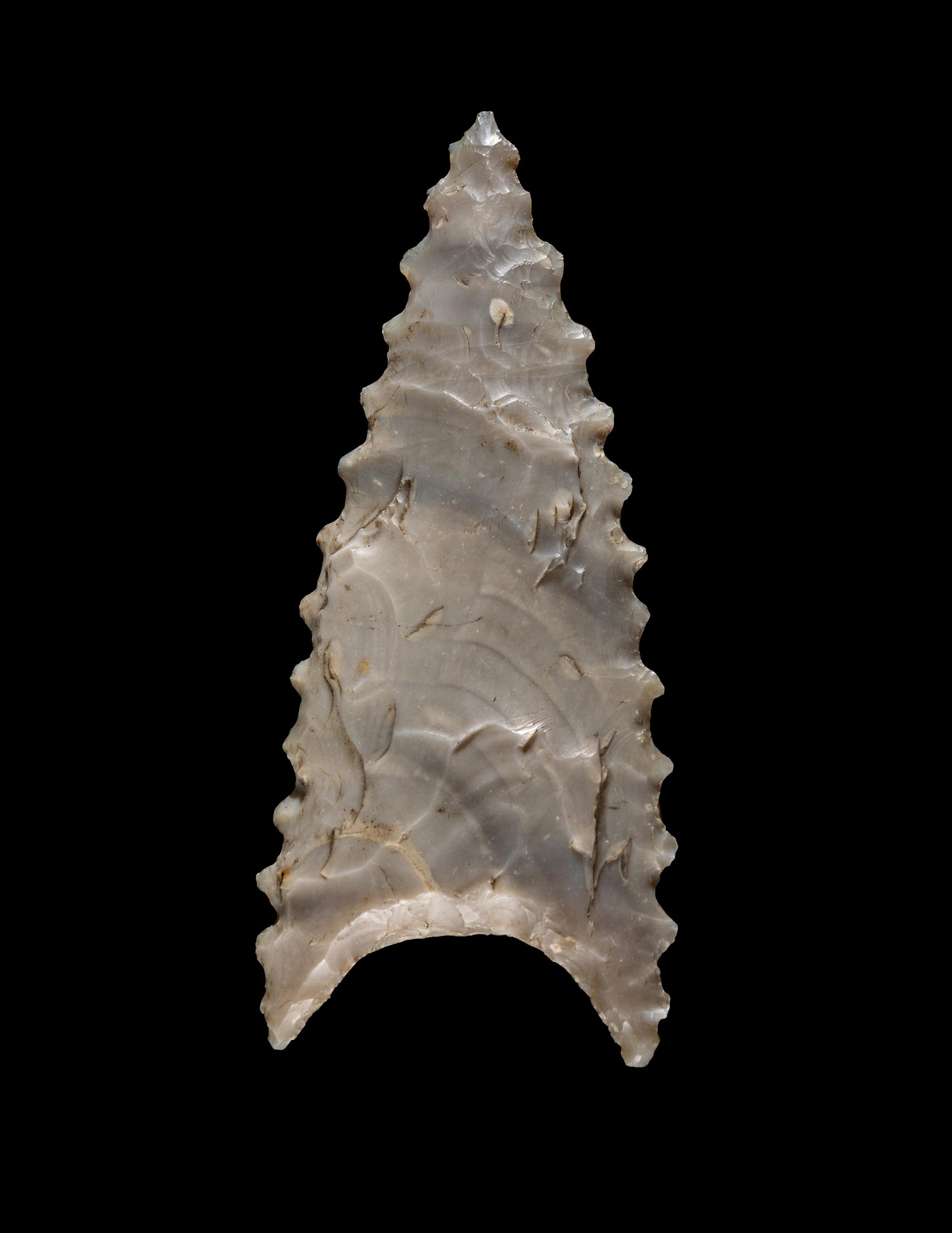 A Neolithic Flint Serrated Point