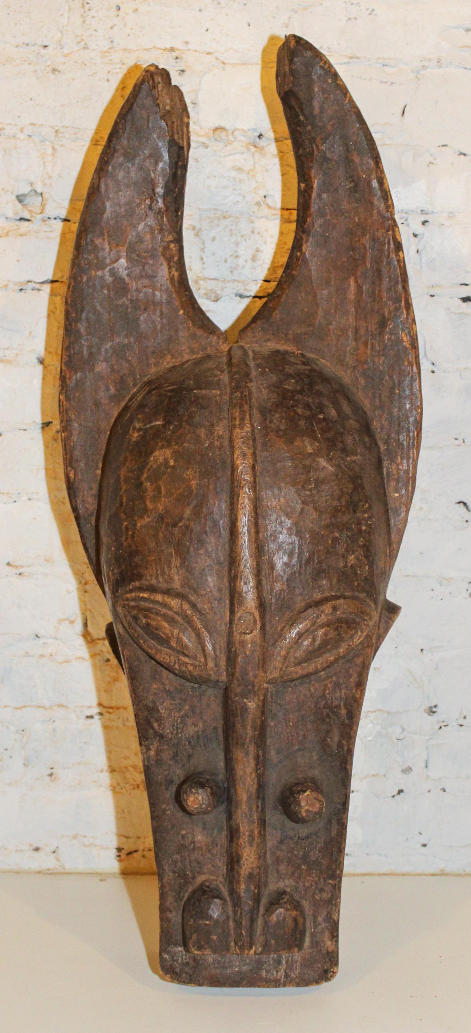 A Senufo Cow Masque. Height 32 x width 14 inches.