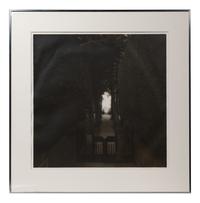 A pair of photographs from the South of England series ( Path and Gate; Trees)