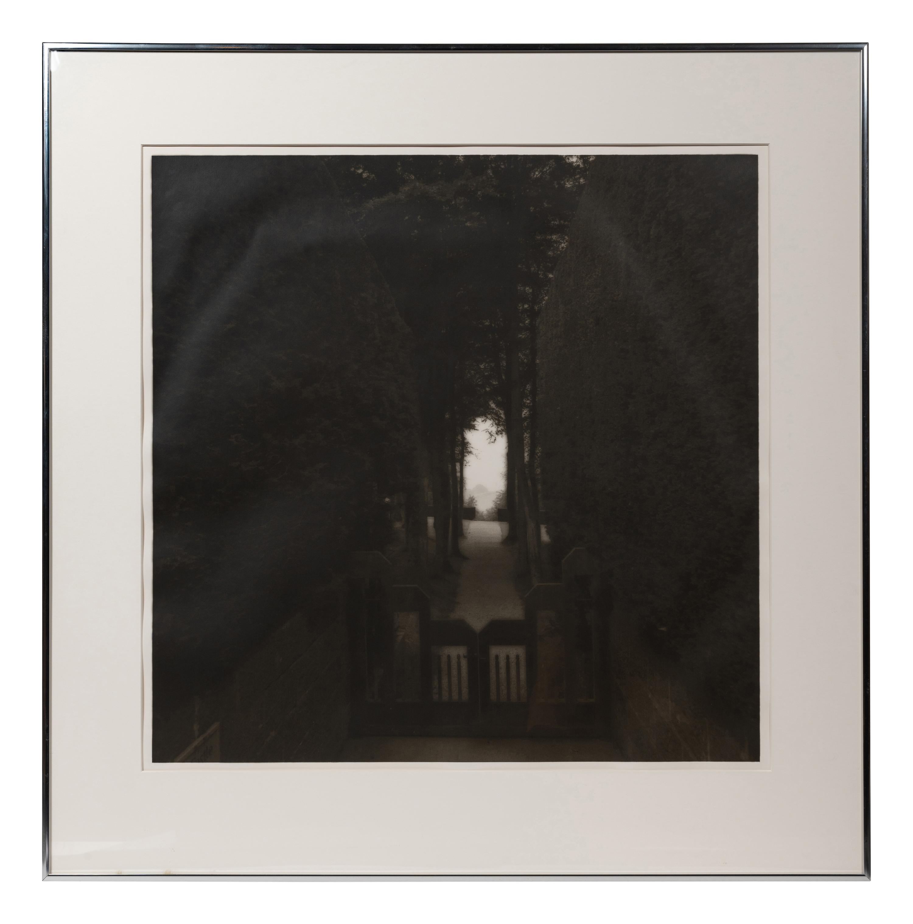 A pair of photographs from the South of England series ( Path and Gate; Trees)