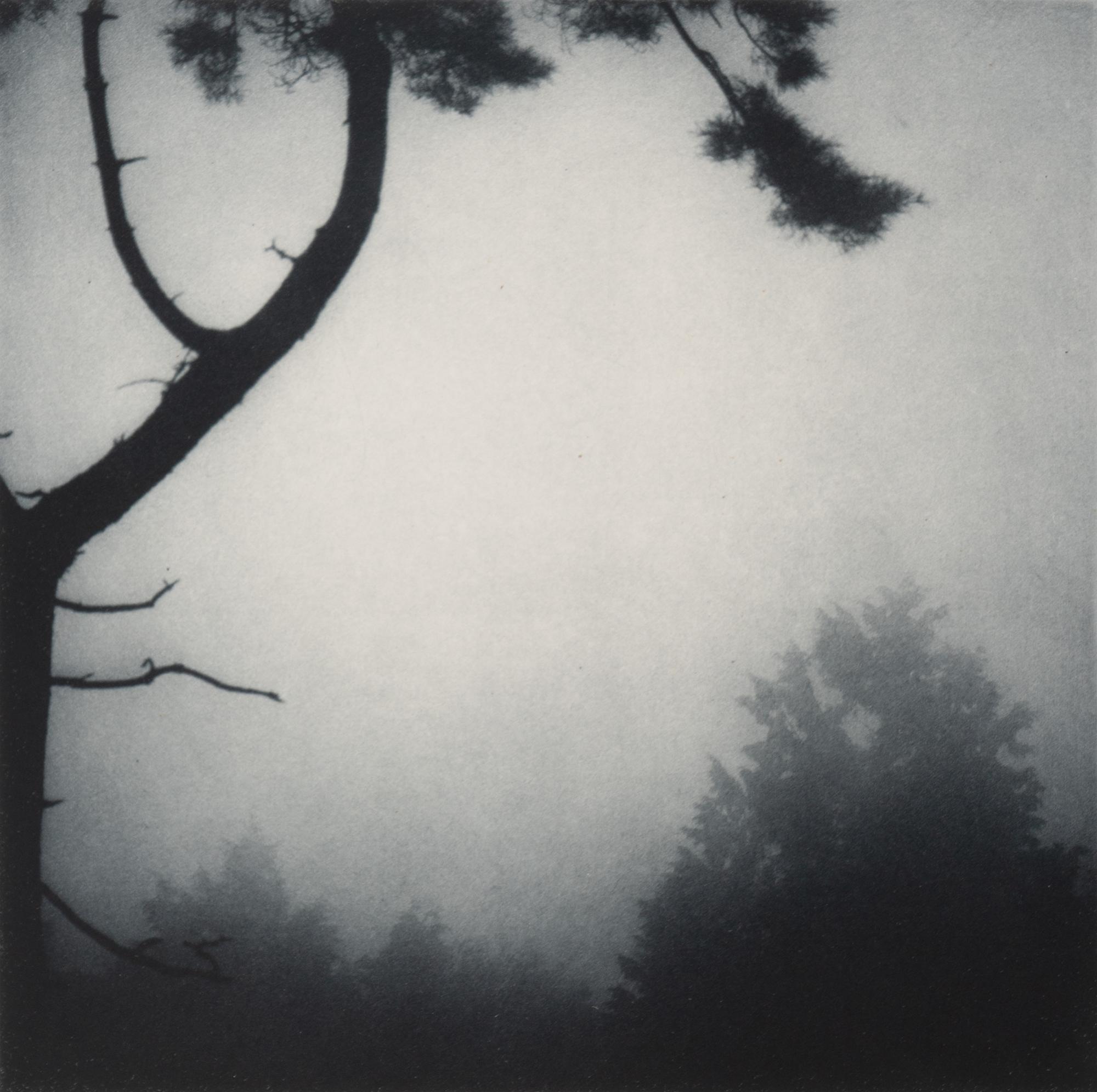 Darren Almond (b. 1971) Civil Dawn #1, 2012