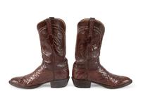 Lucchese Brown Alligator Boots