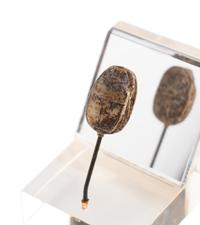 An Egyptian Steatite Scarab