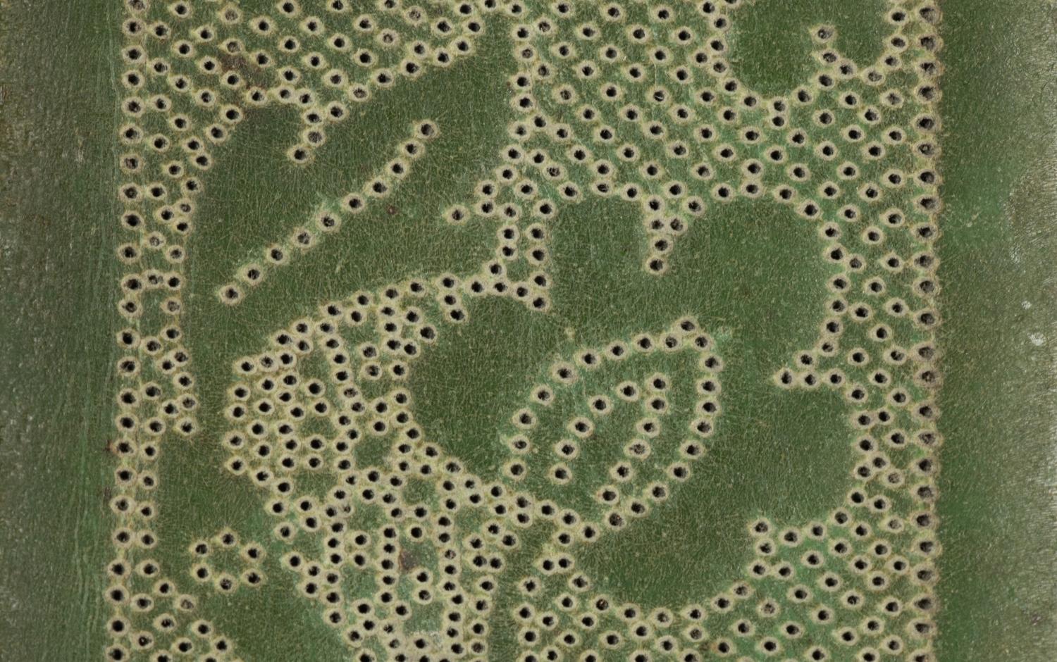 RELEASED TO MUSEUM -- Twenty-Three Lace Patterns, 18th-19th Century