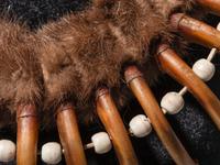 Plains Grizzly Claw Necklace