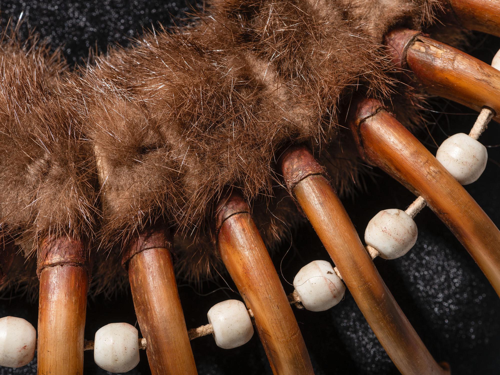 Plains Grizzly Claw Necklace