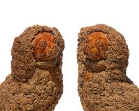 A Scarce Pair of Rockingham Glazed Spaniels