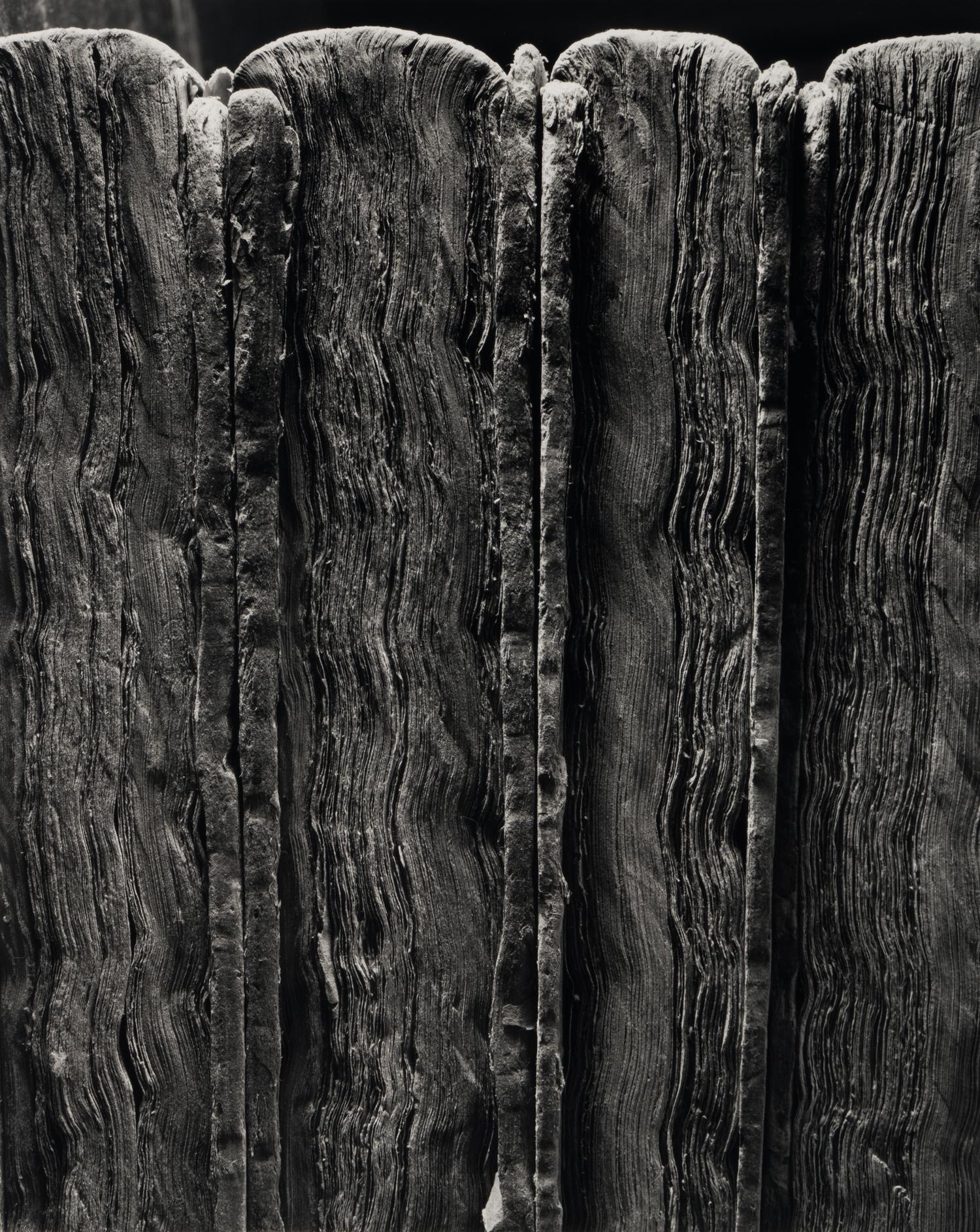 Four Old Books , 1995