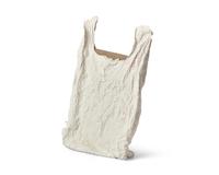 Bag With Canvas #1 , 2011