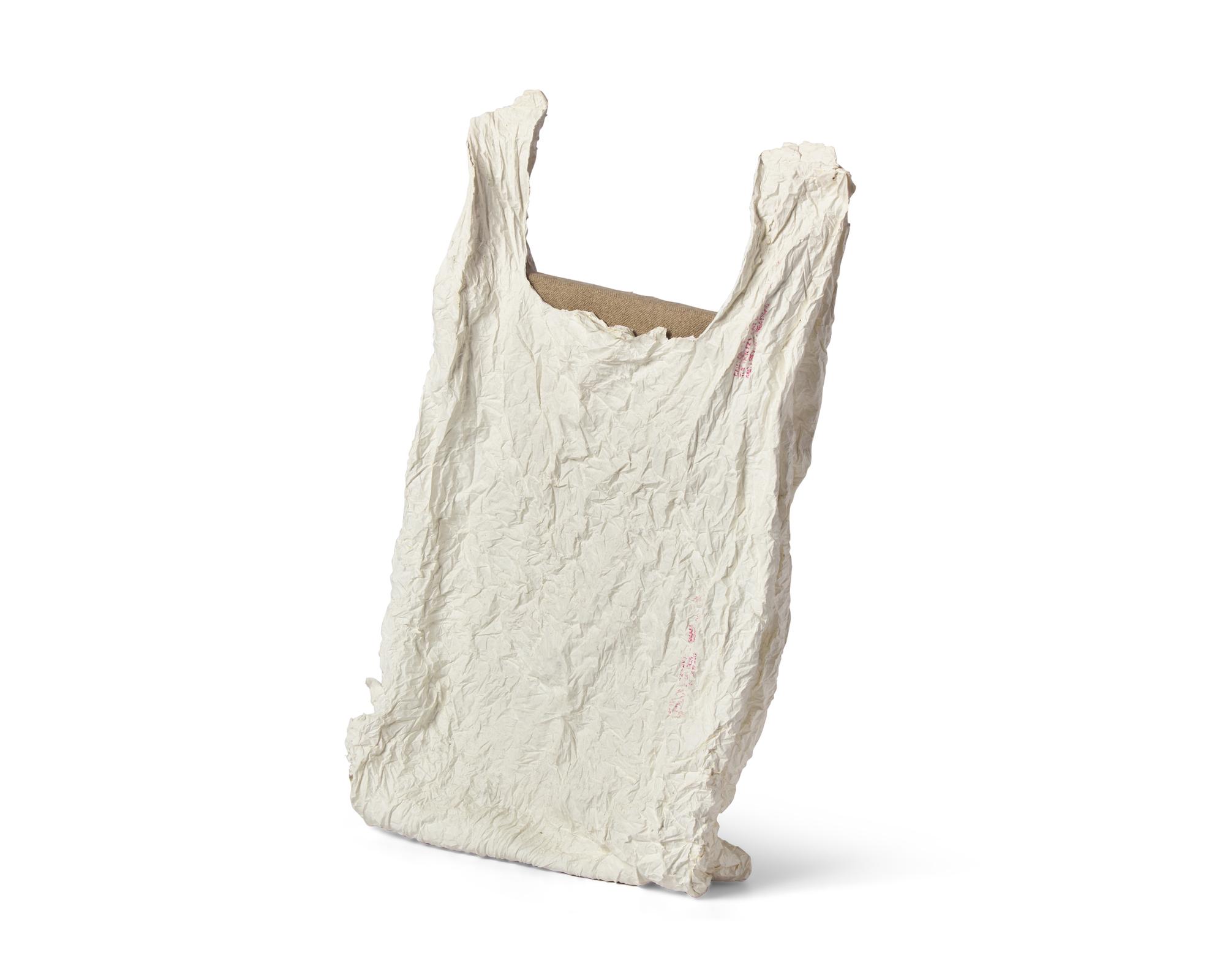Bag With Canvas #1 , 2011