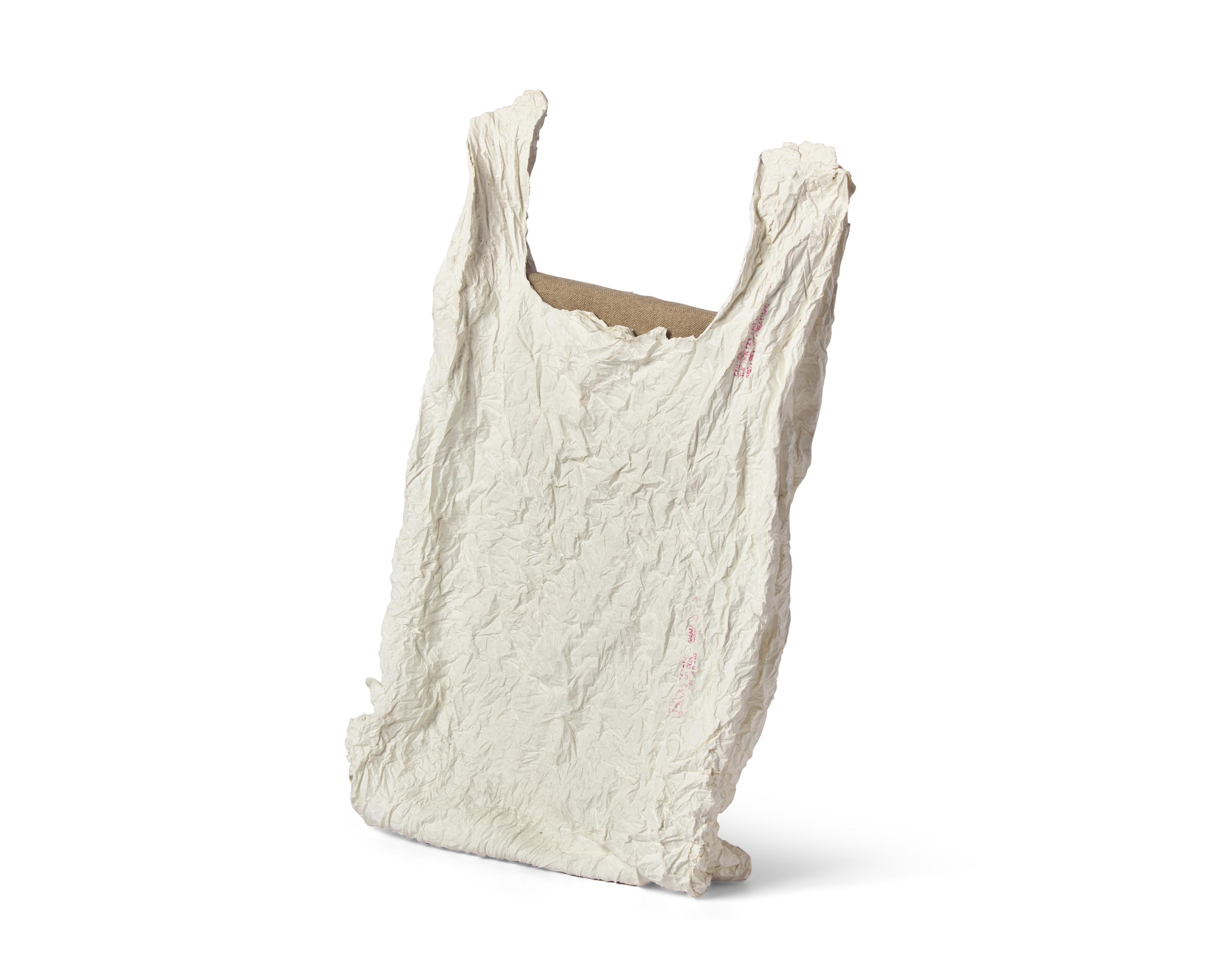 Bag With Canvas #1 , 2011