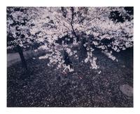 Nagasaku Hiromi wears Louis Vuitton , 1999 (triptych)
