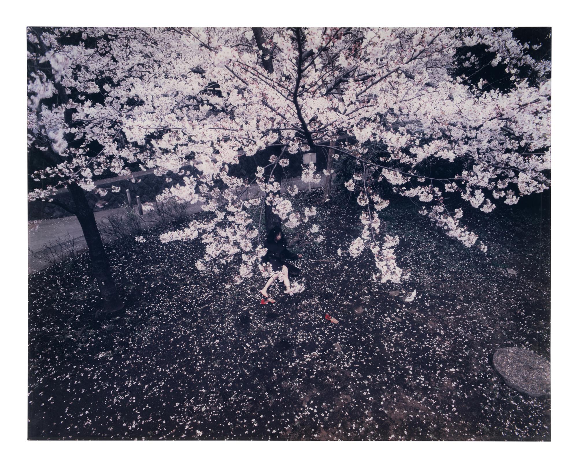 Nagasaku Hiromi wears Louis Vuitton , 1999 (triptych)