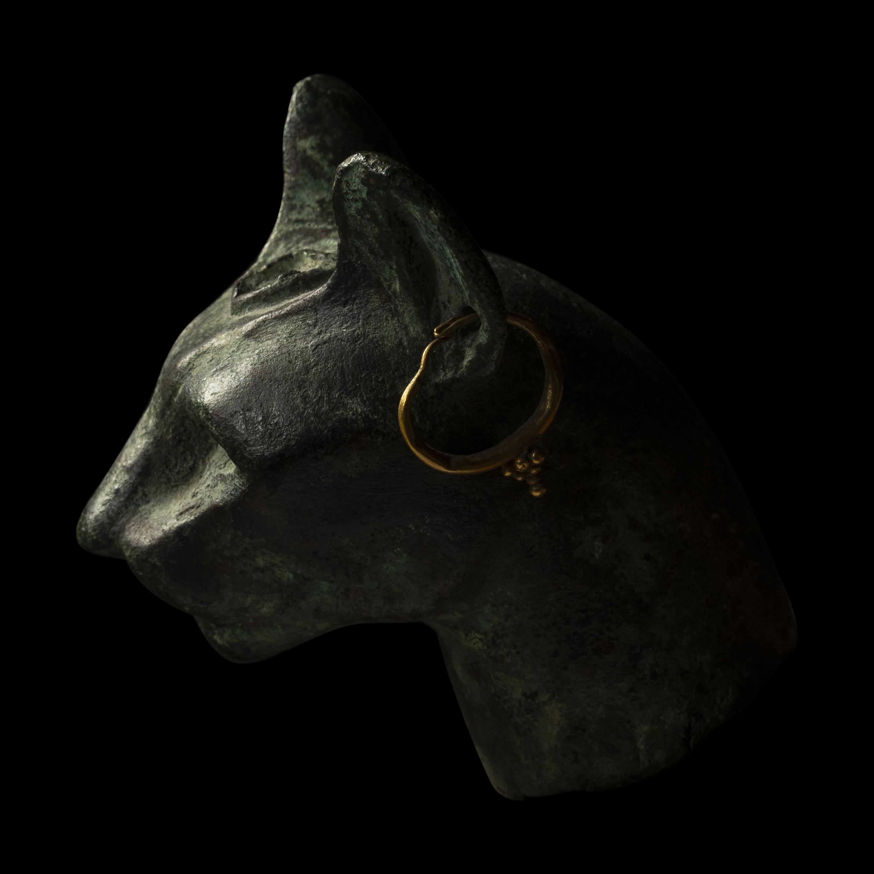 An Egyptian Bronze Head of a Cat