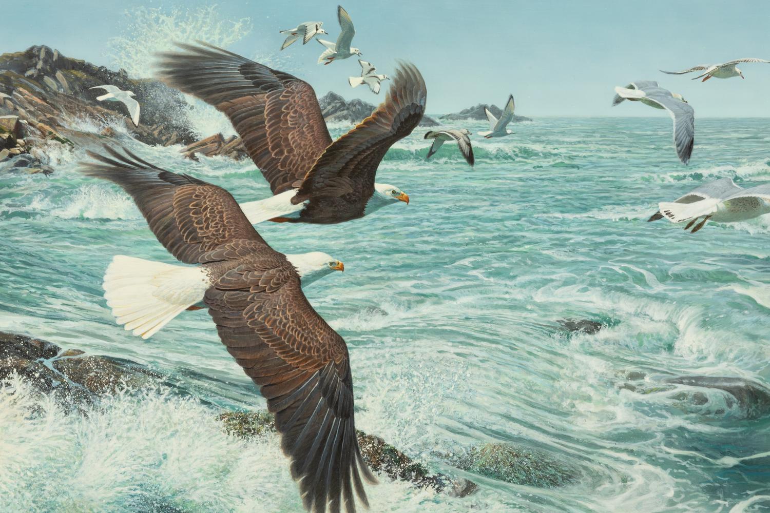 Wings, Wind and Sea , 1995