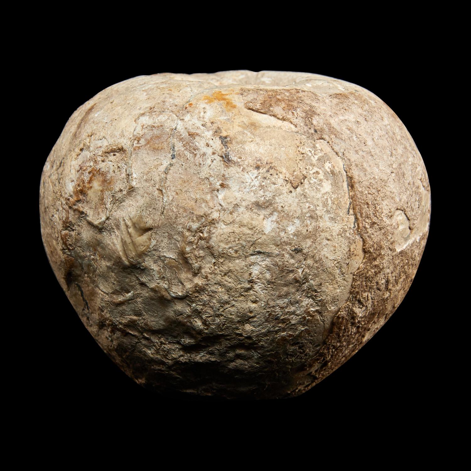 An Egyptian Hard Hand Stone Pestle and Mace Head