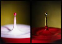 Harold Eugene Edgerton (1903-1990) Two Drops (Cranberry Juice into Milk, Water into Water – 1 microsecond), 1978